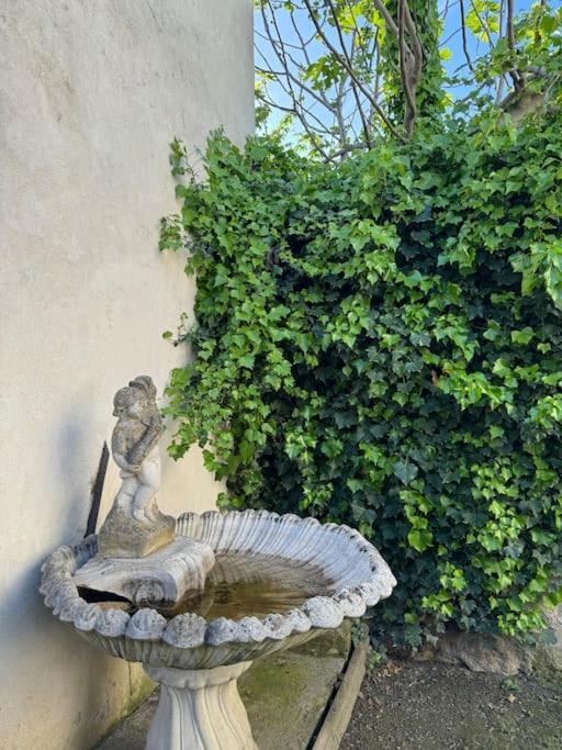 Appartement De Plain-Pied Avec Jardin Avignon Exterior foto